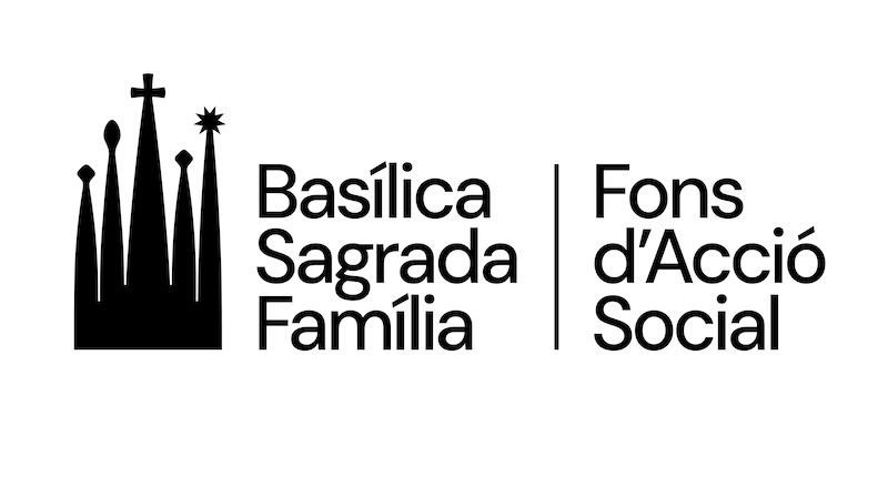 BSF FAS Logotip Negre RGB